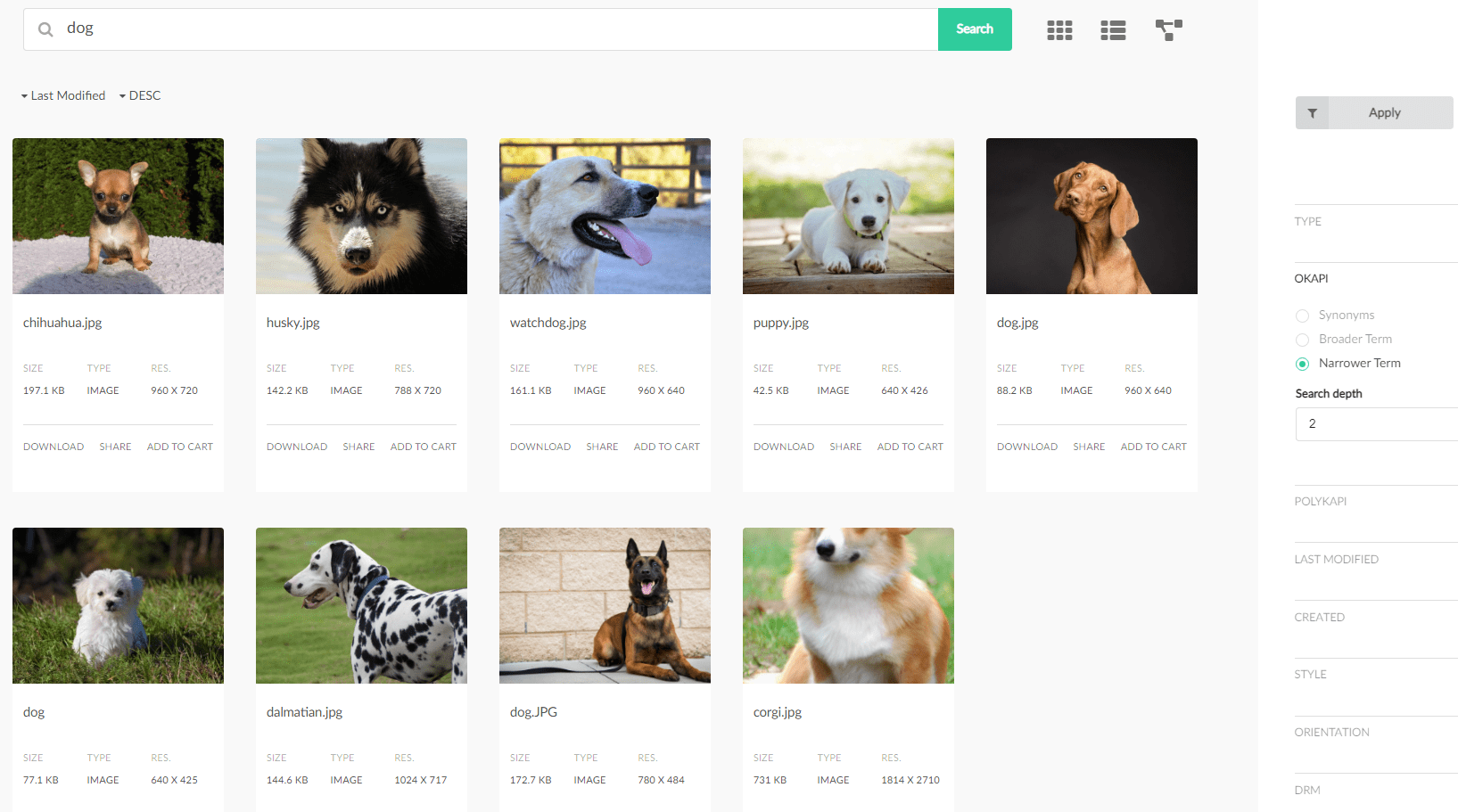 DAM search results with Okapi. Multiple pictures of dogs of various breeds shown in response to the simple full-text query, 'dog'. Only some of the images contain the queried word in the filename.