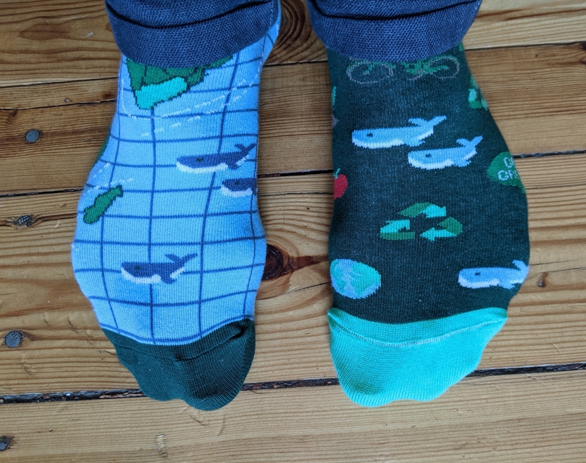 Socks with whales on a wooden floor