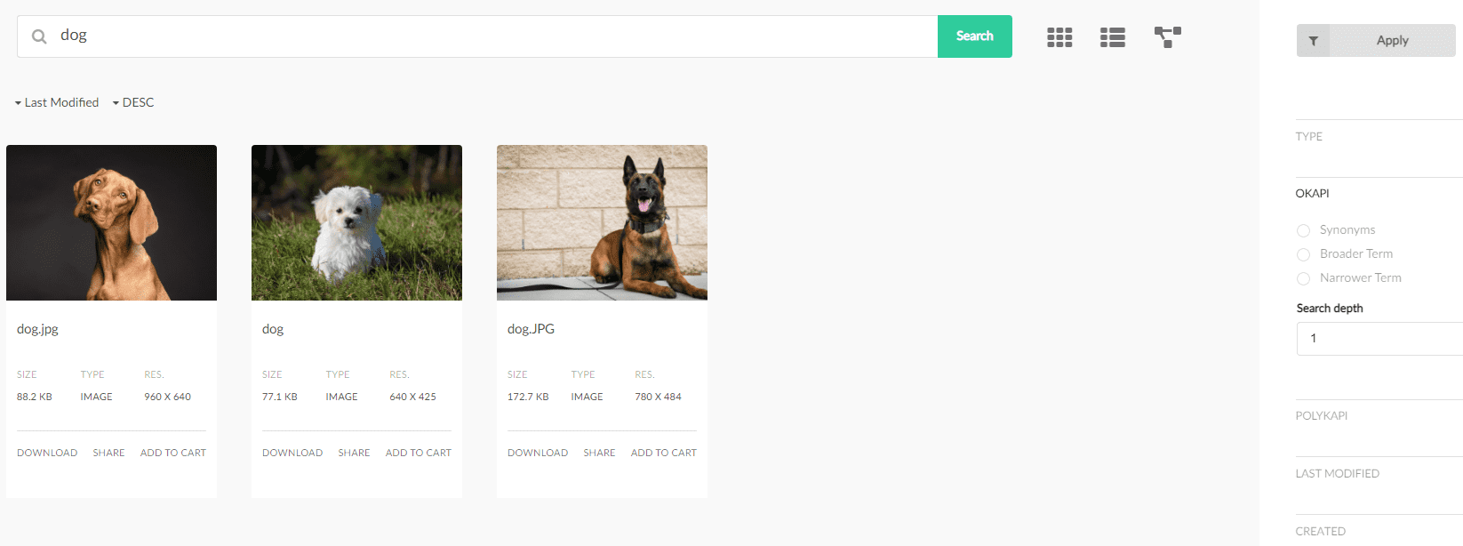 DAM search results. Three pictures of dogs, each containing 'dog' in the filename, shown in response to the simple full-text query, 'dog'.