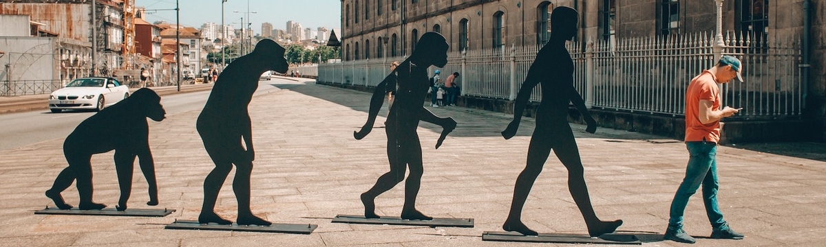 figures of human evolution walking on sidewalk during daytime